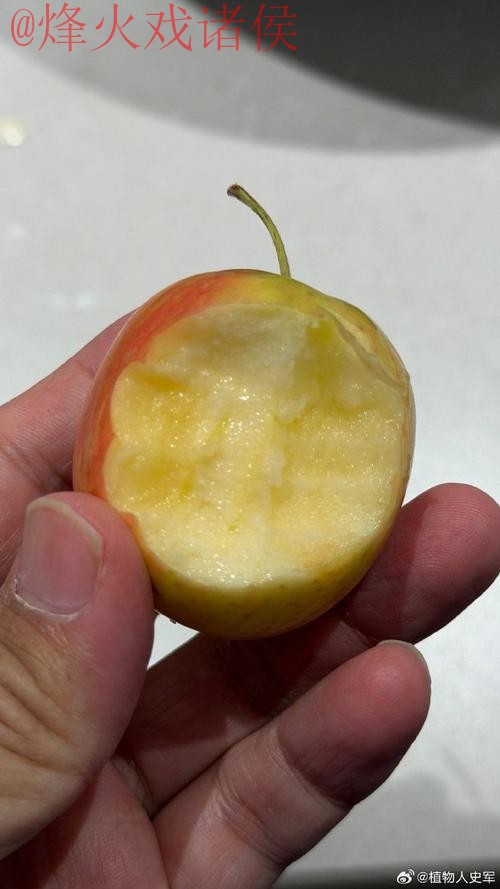 世界杯外围苹果 世界杯外围苹果