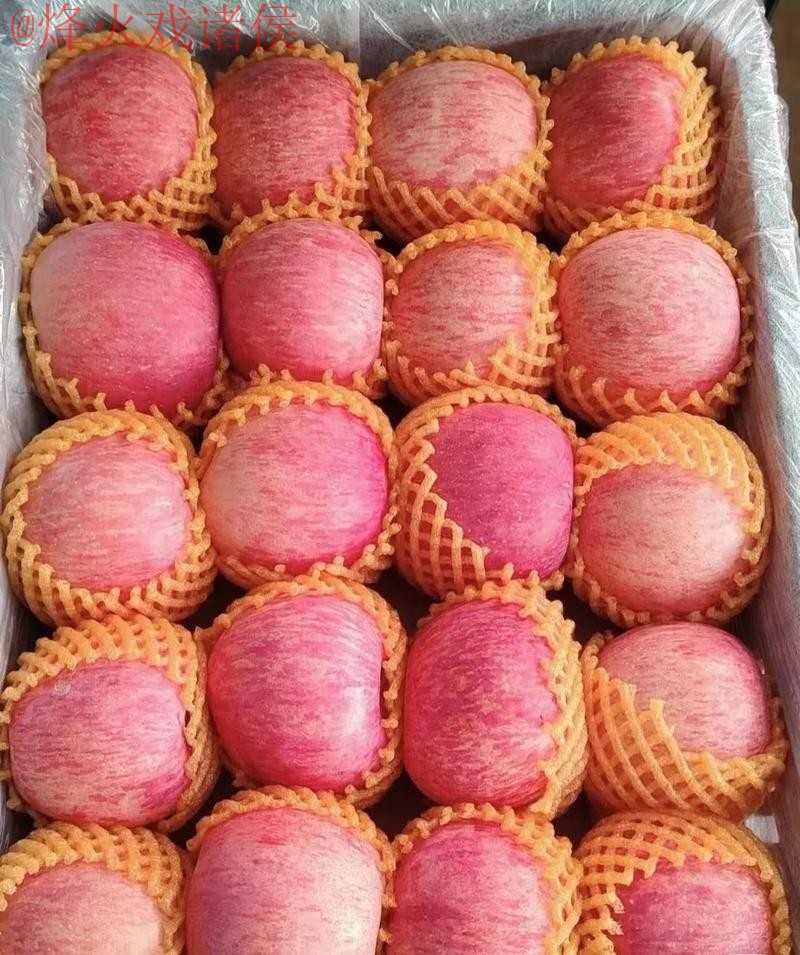 世界杯外围苹果 世界杯外围苹果